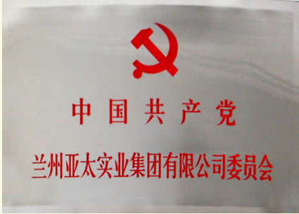 蘭州亞太實業(yè)集團(tuán)有限公司成立黨委會專題