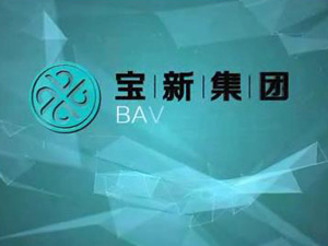 上海寶新集團(tuán)形象片！